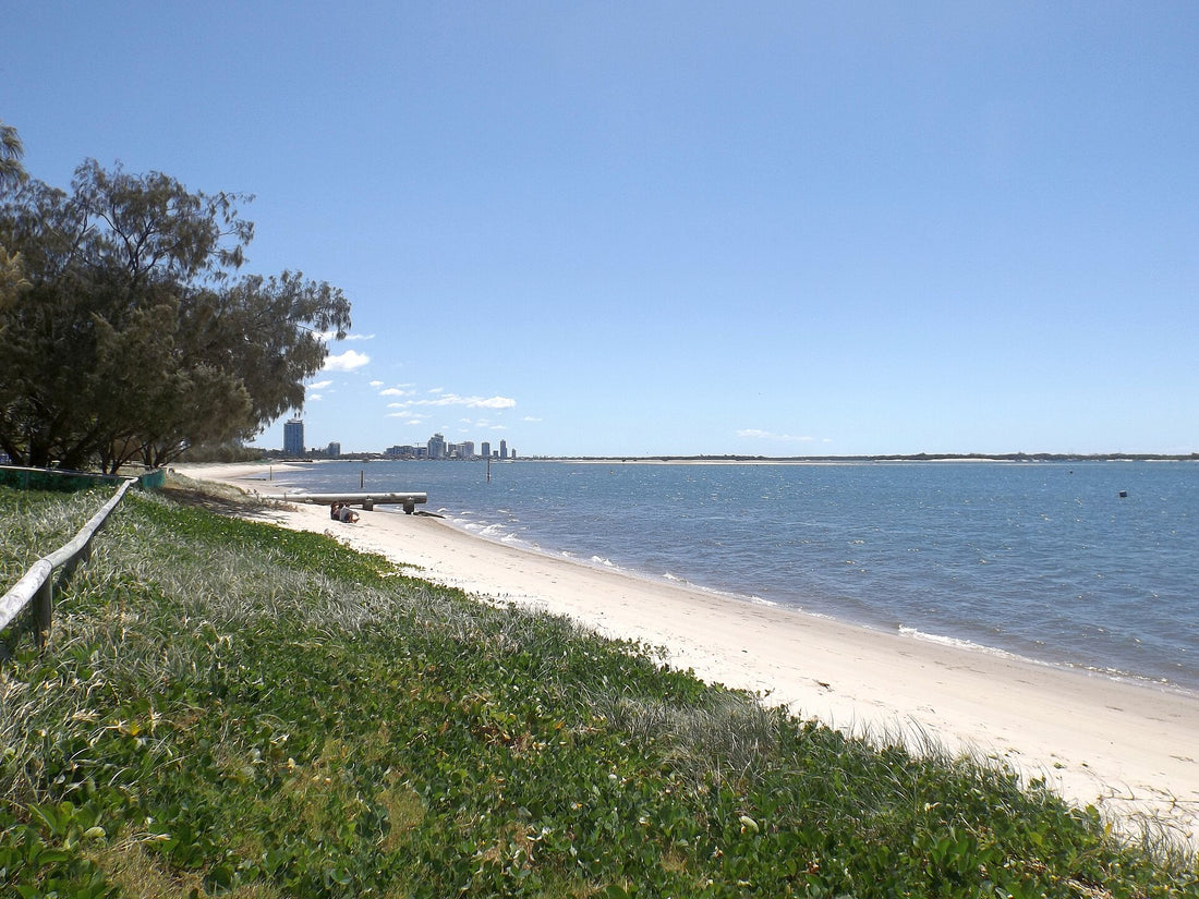 Grassy foreshore and path at Broadwater Parklands on the Gold Coast | Pets Juicy in Miami