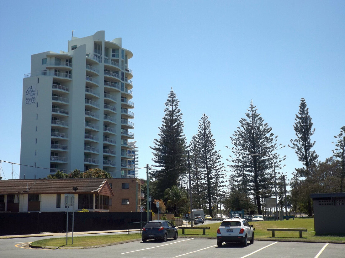 Foreshore reserve and Norfolk Pines along the Broadwater at Labrador, Gold Coast | Pets Juicy in Miami