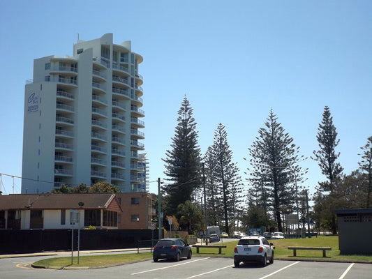 Foreshore reserve and Norfolk Pines along the Broadwater at Labrador, Gold Coast | Pets Juicy in Miami