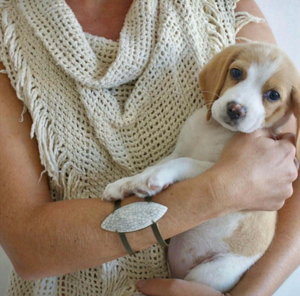 Lemon and white Beagle puppy held in someone's arms
