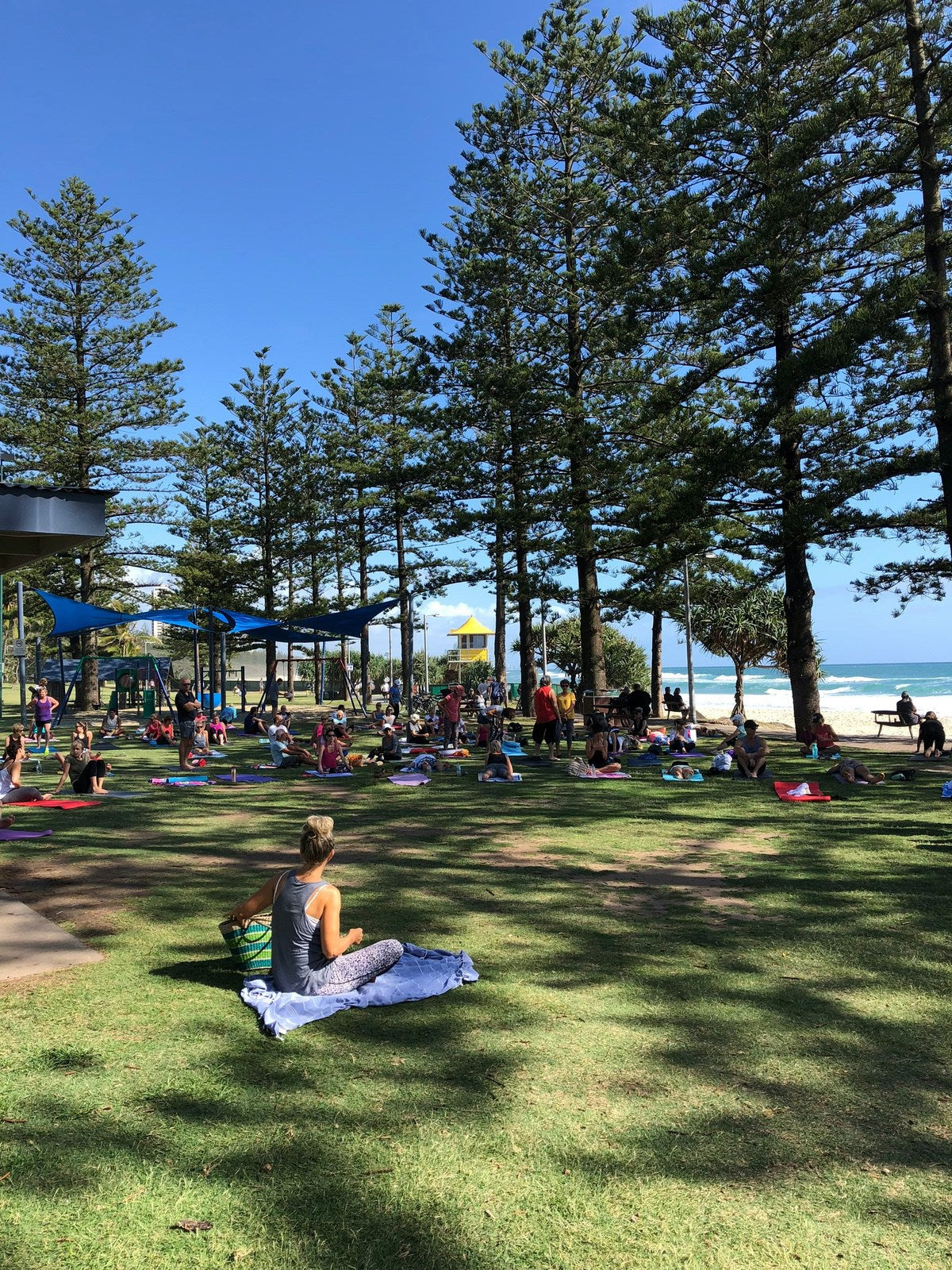 People relaxing on the grass under Norfolk pines beside the beach at Burleigh Heads