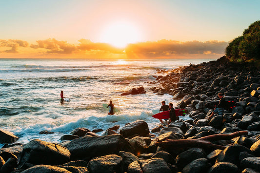 Dog Grooming Near Burleigh Heads