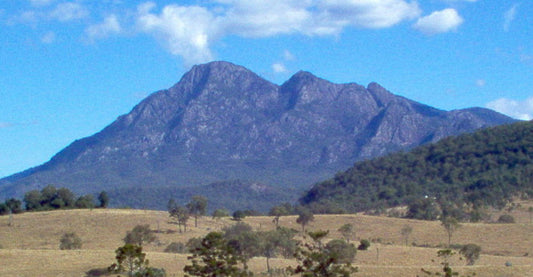Mount Barney in the Scenic Rim near the Gold Coast, a dog-friendly camping region | Pets Juicy in Miami