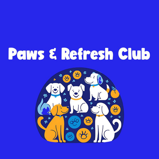 Introducing the Paws & Refresh Club: Loyalty Has Never Looked This Good