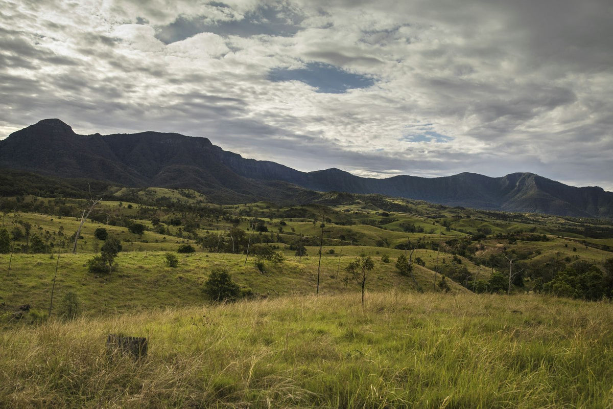 Green paddocks rolling up to a mountain range under a cloudy sky