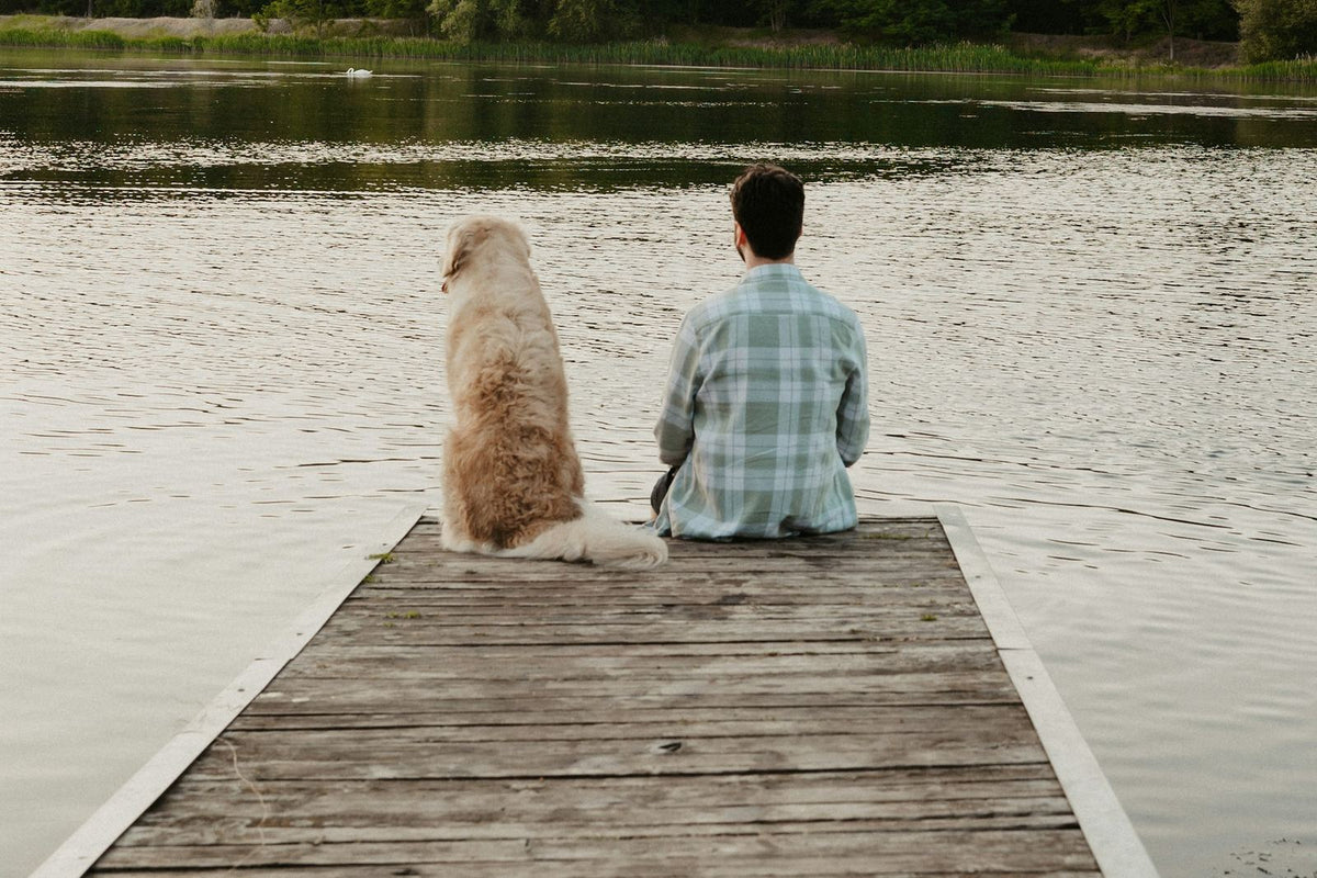 Golden retriever sitting beside its owner on a wooden jetty overlooking a lake