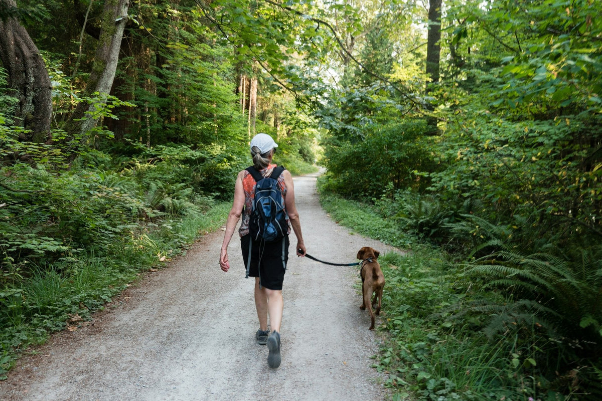 Woman walking a dog on a lead along a gravel trail through green forest