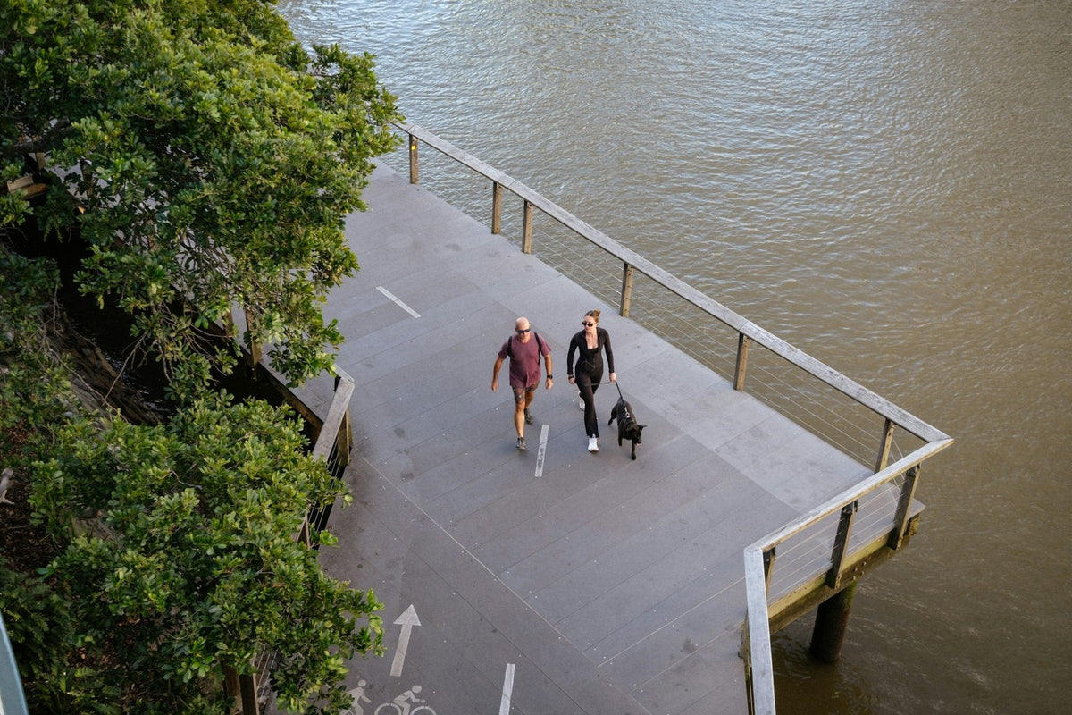 Aerial view of two people walking a dog along a waterside boardwalk