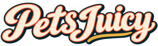 Pets Juicy dog grooming and daycare, Miami Gold Coast